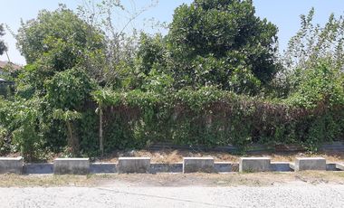 For Sale: Spacious Residential Lot w/ Two Wide Frontages in Magalang, Pampanga!