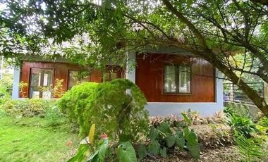 Fully Furnished 4 Bedrooms House for Rent