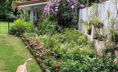 Fully Furnished 4 Bedrooms House for Rent