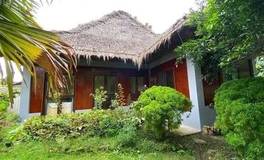 Fully Furnished 4 Bedrooms House for Rent