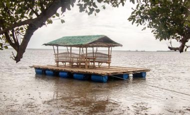 FIRE SALE: Stunning beach and hotel resort in Anda, Pangasinan