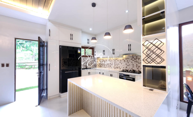 Fully furnished Brand new single house for sale with pool in Talamban Cebu City