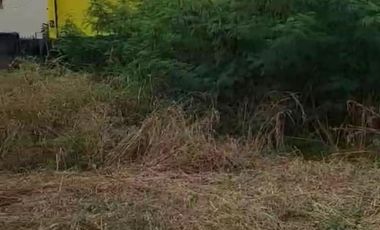 For Sale! 424 sqm Vacant Lot in T.Gomez St. Bgy Leo, Cavite