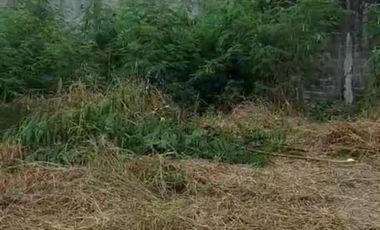 For Sale! 424 sqm Vacant Lot in T.Gomez St. Bgy Leo, Cavite