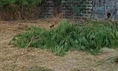 For Sale! 424 sqm Vacant Lot in T.Gomez St. Bgy Leo, Cavite