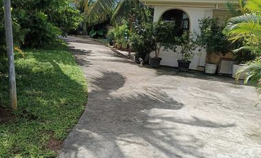 Beach house for rent 12 bedrooms 11 toilet and bath in Poblacion Panglao Bohol