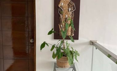 Casa Magna 22 hectares LA Orriental Mindoro