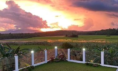 Casa Magna 22 hectares LA Orriental Mindoro