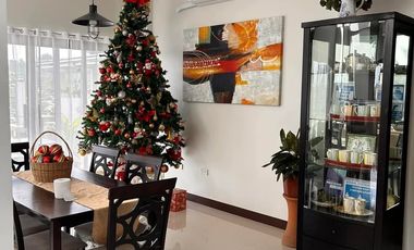 Casa Magna 22 hectares LA Orriental Mindoro