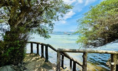Beach House for SALE in Panglao island of Bohol Philippines