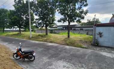 455 SQM LOT in Woodland Park Carmenville Angeles City
