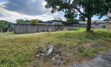 455 SQM LOT in Woodland Park Carmenville Angeles City