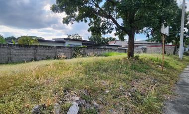 455 SQM LOT in Woodland Park Carmenville Angeles City