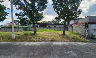 455 SQM LOT in Woodland Park Carmenville Angeles City