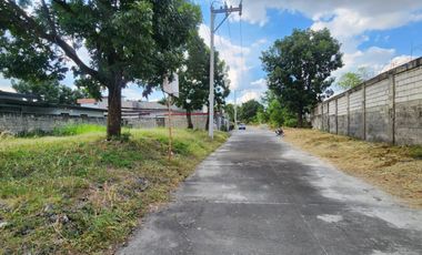 455 SQM LOT in Woodland Park Carmenville Angeles City