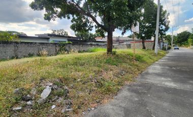455 SQM LOT in Woodland Park Carmenville Angeles City