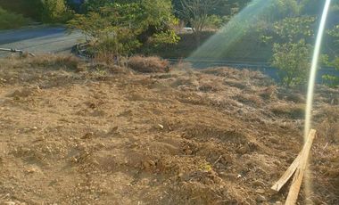 Residential 171 sqm Lot for Sale in Monteverde Royale, Taytay, Rizal – REPRICED!