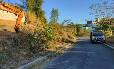 Residential 171 sqm Lot for Sale in Monteverde Royale, Taytay, Rizal – REPRICED!
