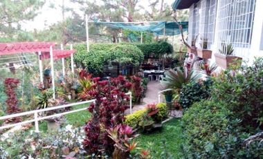 For Sale: 4 Bedroom House and Lot in Baguio City near Wright Park