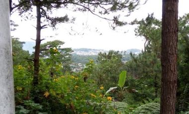 For Sale: 4 Bedroom House and Lot in Baguio City near Wright Park