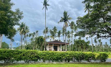Hacienda Escudero lot for sale