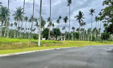 Hacienda Escudero lot for sale