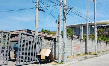 Sucat Muntinlupa Lot Property For Sale