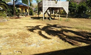 2208sqm clean title Lot with 3 Bedrooms New Renovation House in Songculan Dauis