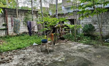 3 Bedrooms 3 toilet and bath clean title House in Dao near Island City Mall 4M