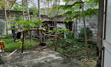 3 Bedrooms 3 toilet and bath clean title House in Dao near Island City Mall 4M