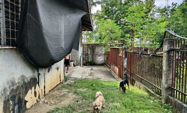 3 Bedrooms 3 toilet and bath clean title House in Dao near Island City Mall 4M