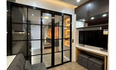 1 Bedroom Condo unit (Interior Designed)