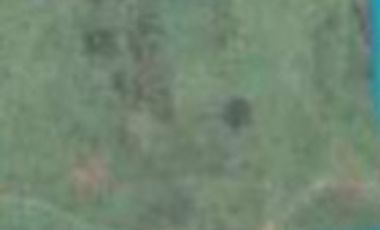Farm for sale in Negros Oriental, Dumaguete City