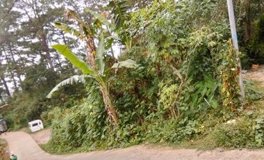 Accessible spacious lot near Baguio