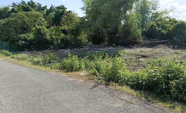 1,000sqm clean title lot in Dao Dauis walking distance to the white sand beach