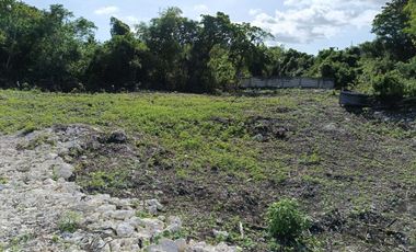 1,000sqm clean title lot in Dao Dauis walking distance to the white sand beach