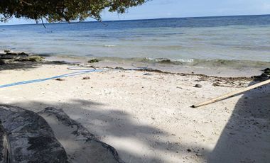 1,000sqm clean title lot in Dao Dauis walking distance to the white sand beach