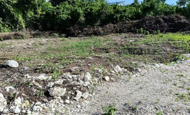 1,000sqm clean title lot in Dao Dauis walking distance to the white sand beach
