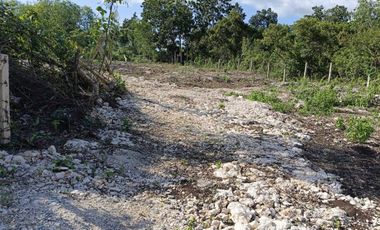1,000sqm clean title lot in Dao Dauis walking distance to the white sand beach