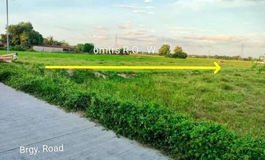 250sqm Mini Farmlot for Sale San Vicente Mexico Pampanga