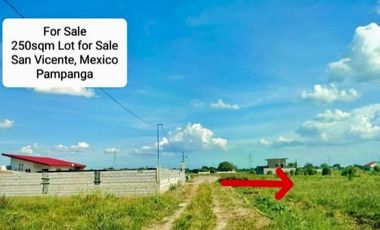 250sqm Mini Farmlot for Sale San Vicente Mexico Pampanga