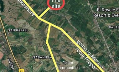 250sqm Mini Farmlot for Sale San Vicente Mexico Pampanga