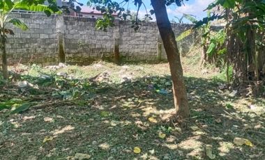 Residential Lot Farmville Amadeo Cavite - Along National Road