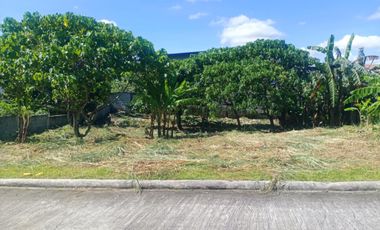 Residential Lot Farmville Amadeo Cavite - Along National Road