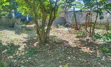 Residential Lot Farmville Amadeo Cavite - Along National Road