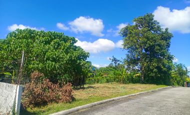 Residential Lot Farmville Amadeo Cavite - Along National Road