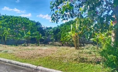 Residential Lot Farmville Amadeo Cavite - Along National Road