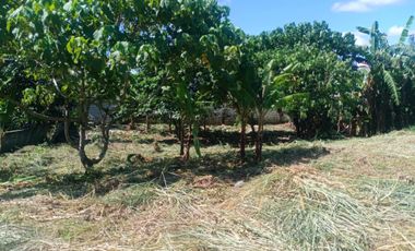 Residential Lot Farmville Amadeo Cavite - Along National Road