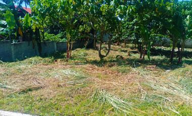Residential Lot Farmville Amadeo Cavite - Along National Road