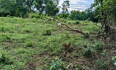 1991sqm clean title lot in Danao Panglao Bohol walking distance to the beach